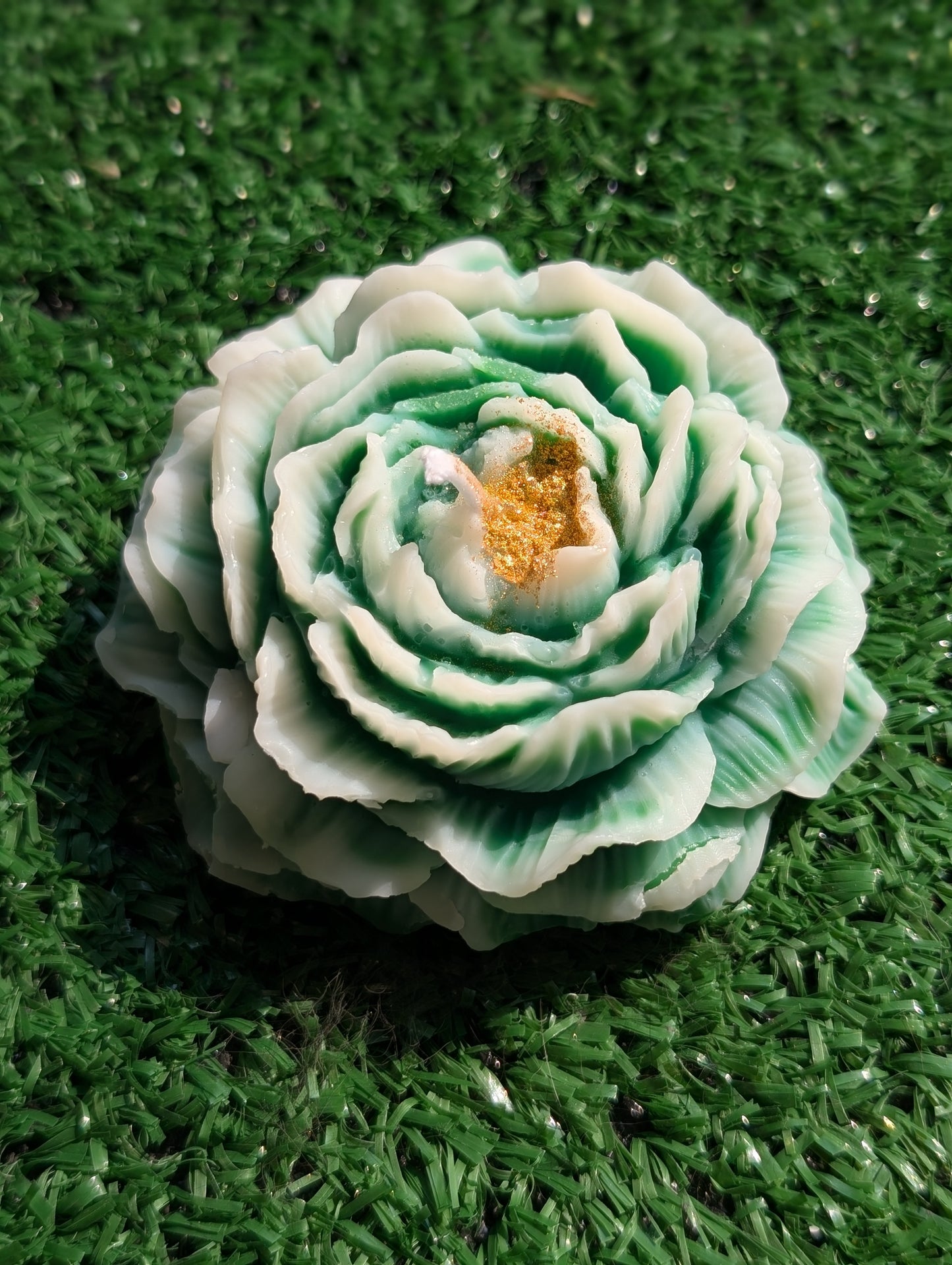 Pivoine