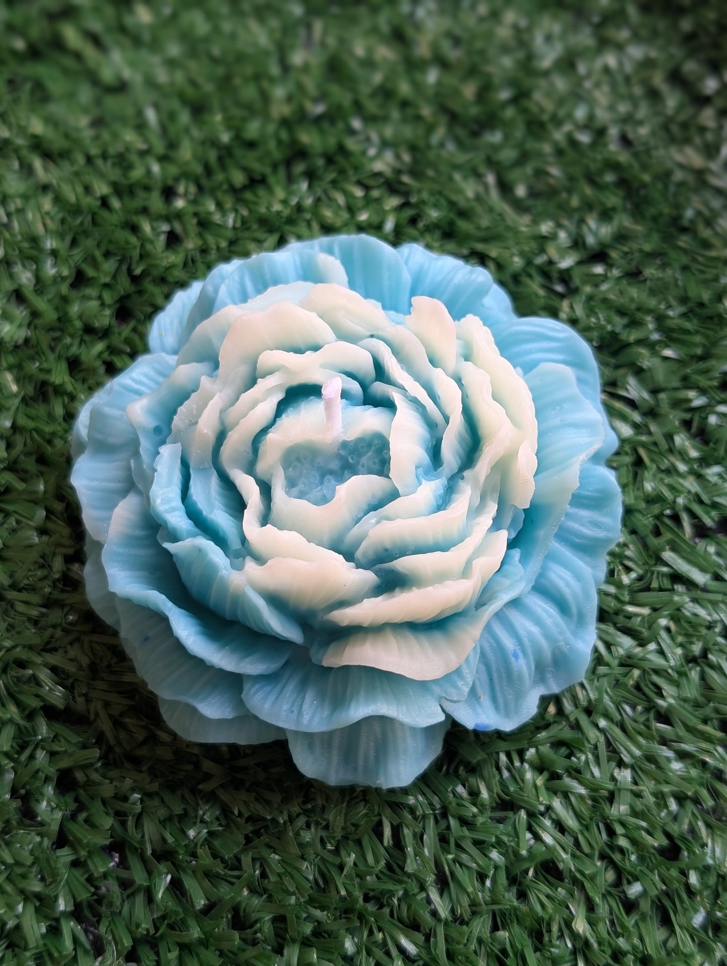 Pivoine