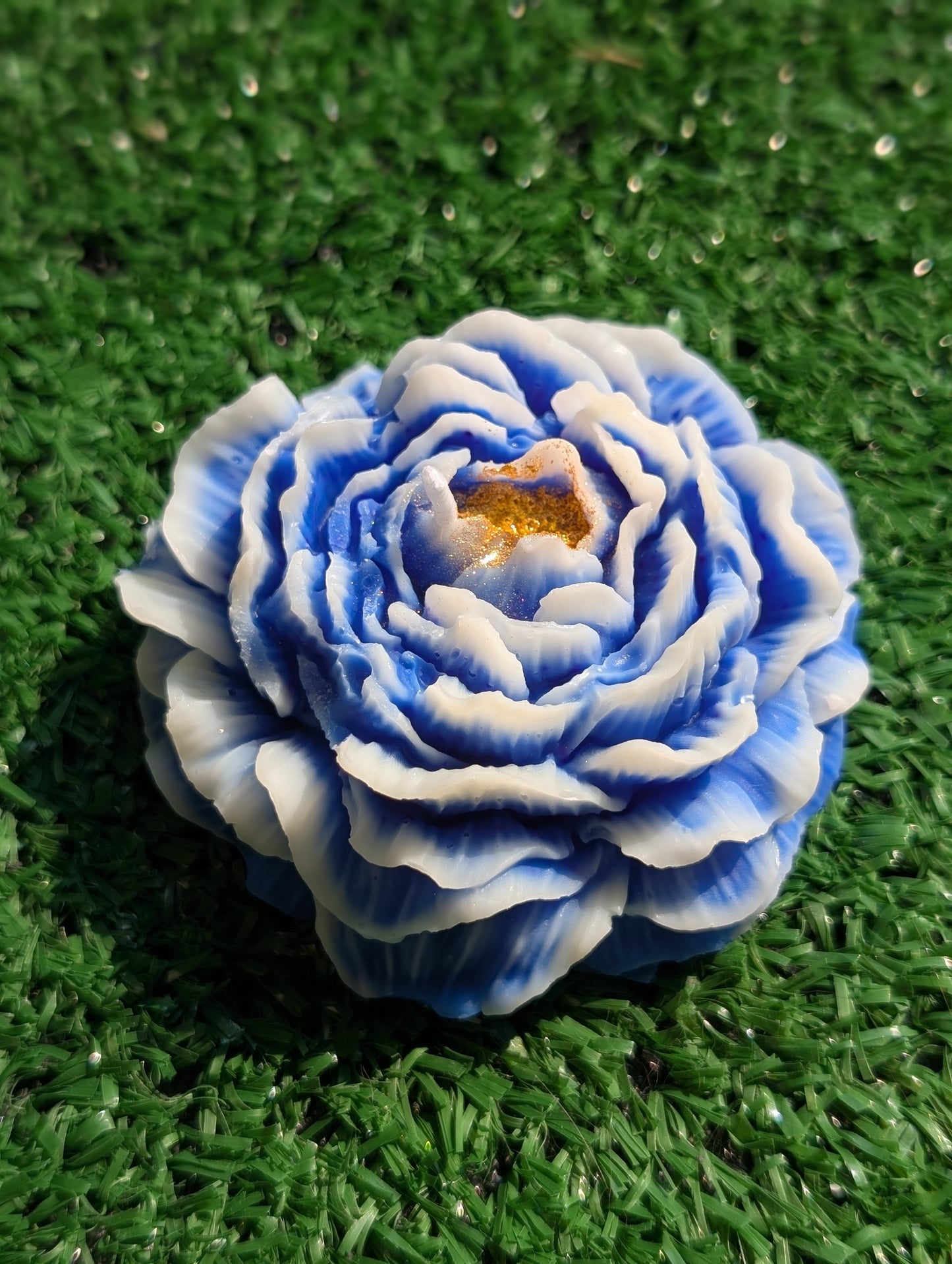 Pivoine