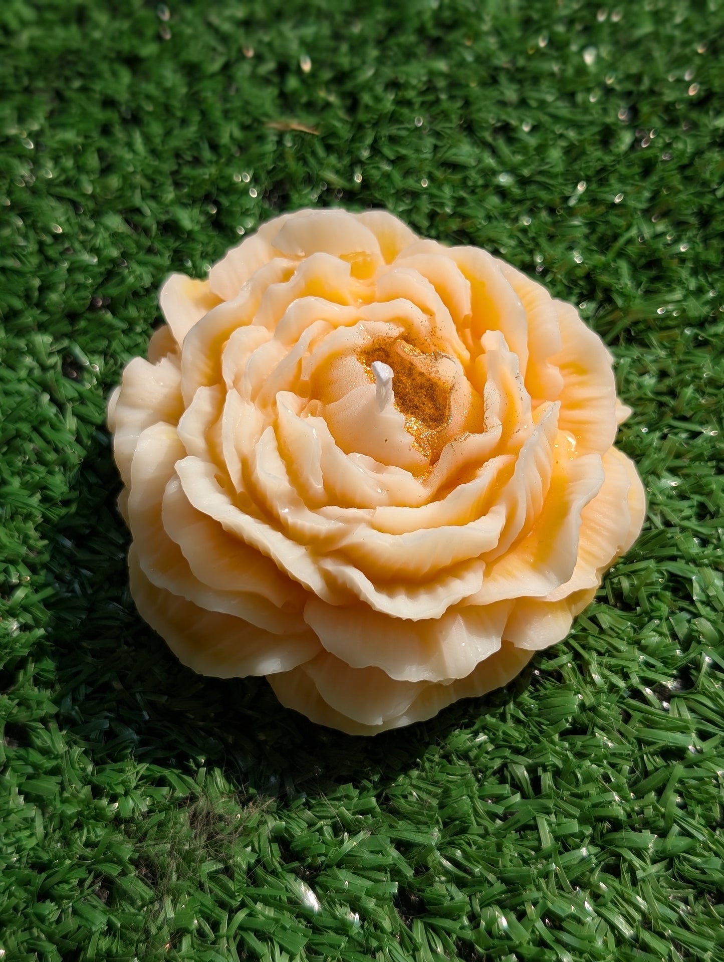Pivoine
