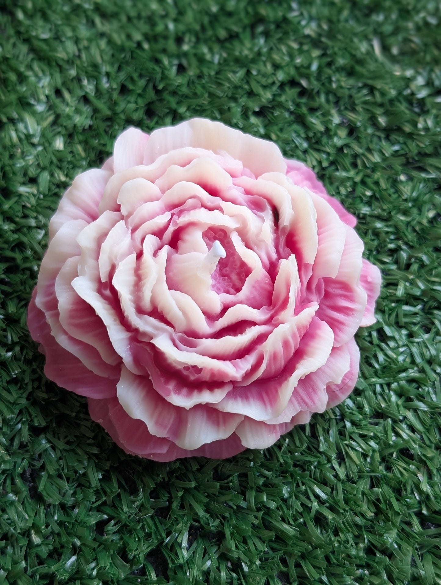 Pivoine