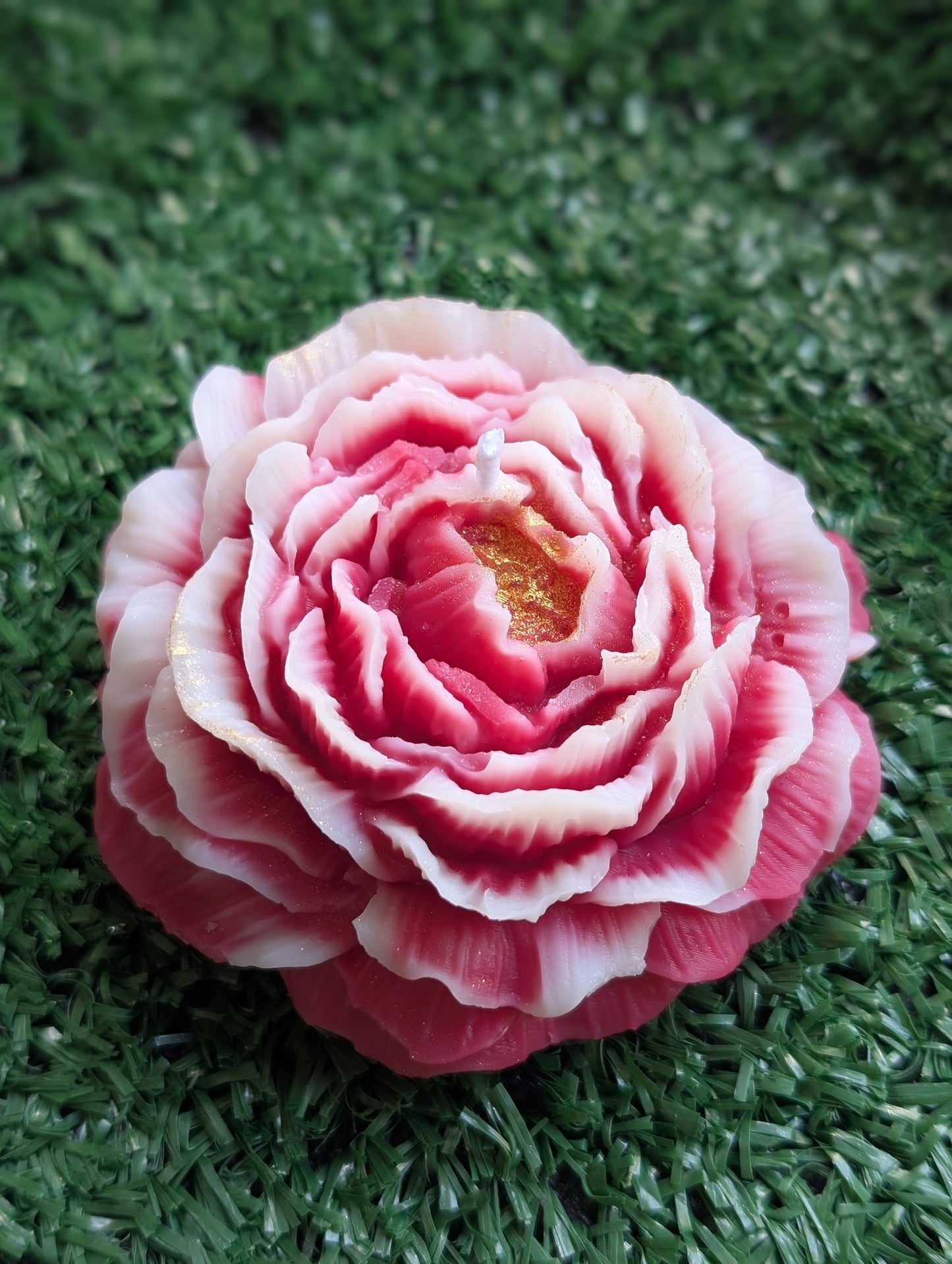 Pivoine