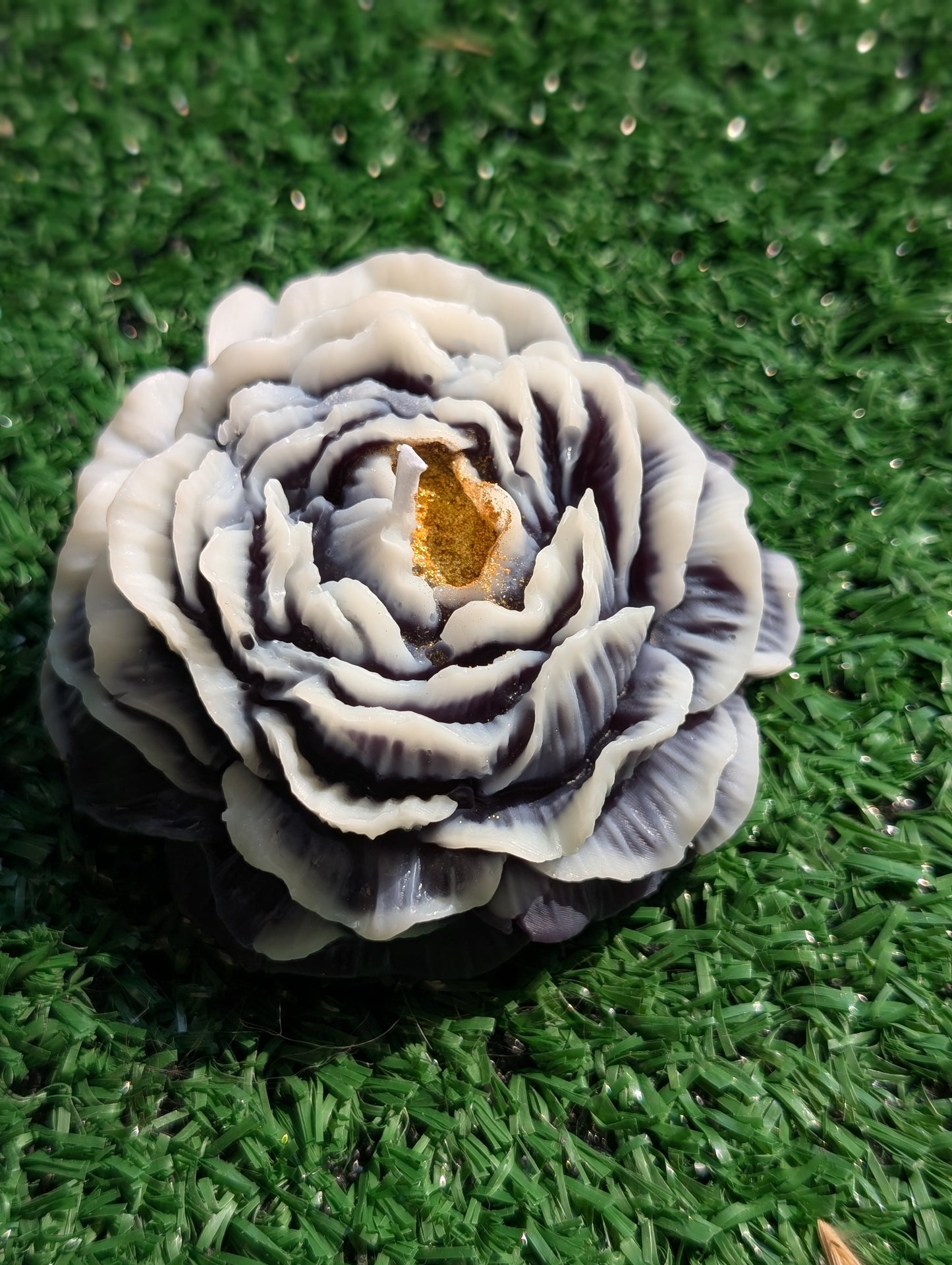 Pivoine