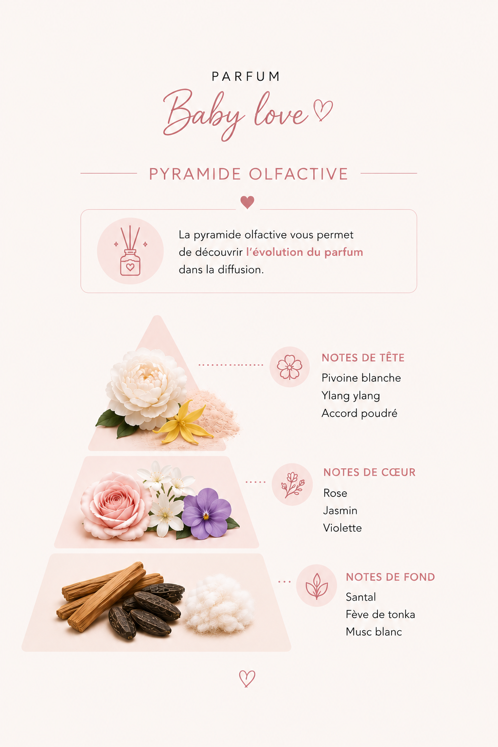 Poudre aspirateur – Baby Love